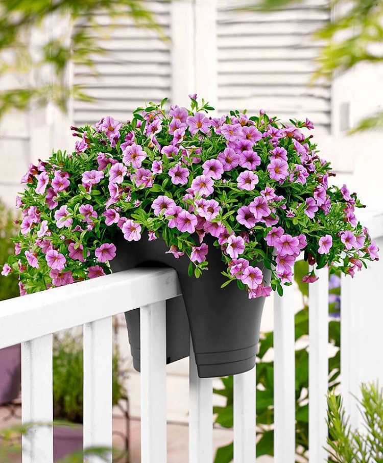 idées-déco-balcon-plantes-pot-fleurs-couleur-violette