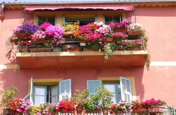 idées-déco-balcon-pot-fleurs-couleurs-vives
