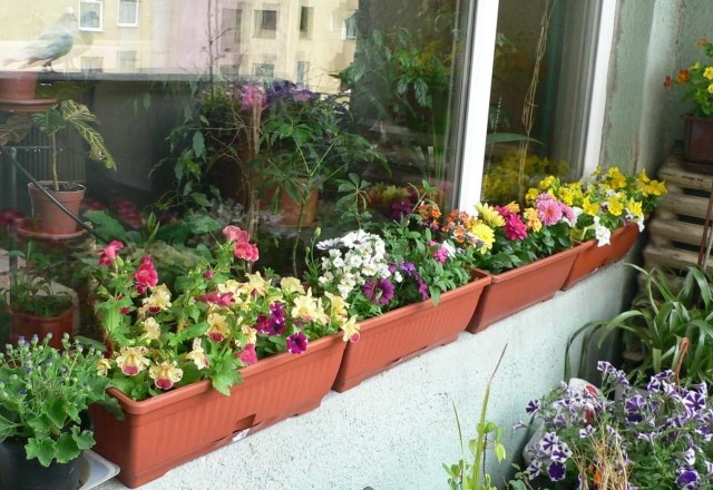idées-déco-balcon-pot-fleurs-jardinieres-marrons