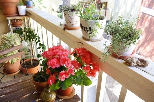idées-originales plantes à fleurs balcon