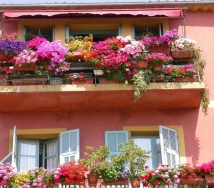 idées-déco-balcon-pot-fleurs-couleurs-vives