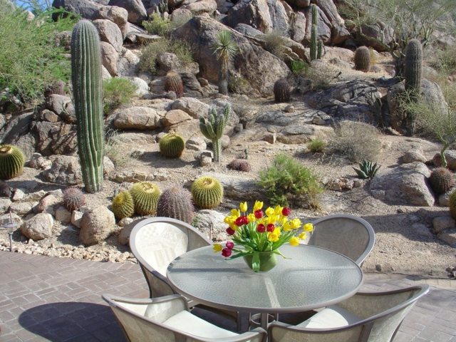 jardin-cactus-meubles-jardin-métal-table-ronde