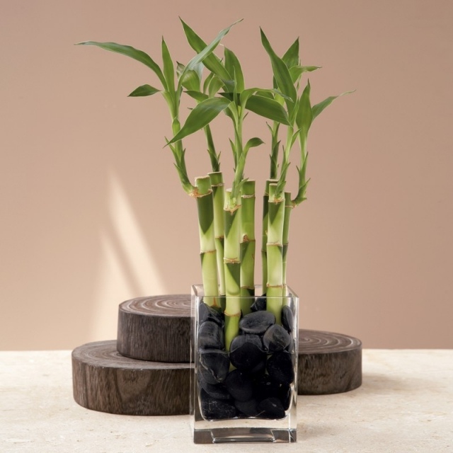 lucky-bambou-vase-verre-carré-galets-noirs-déco