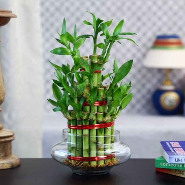 lucky-bambou-vase-verre-décoré-ruban-rouge