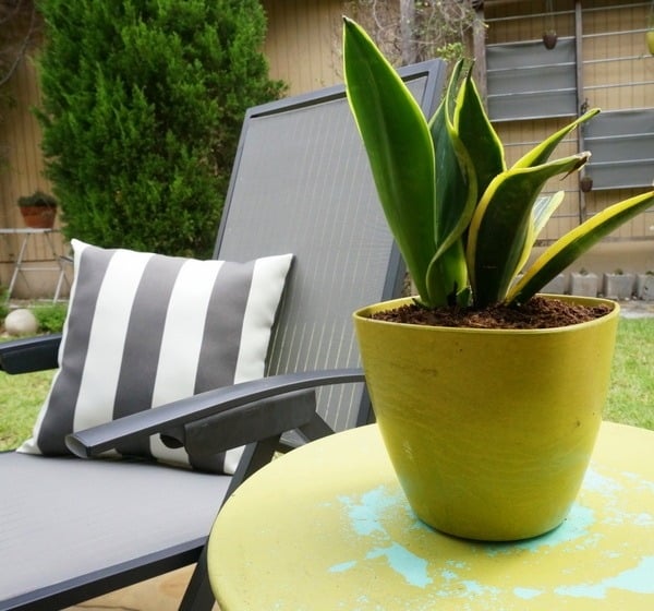 meuble-de-jardin-lounge-DIY-table-fleurs-chaise-longue