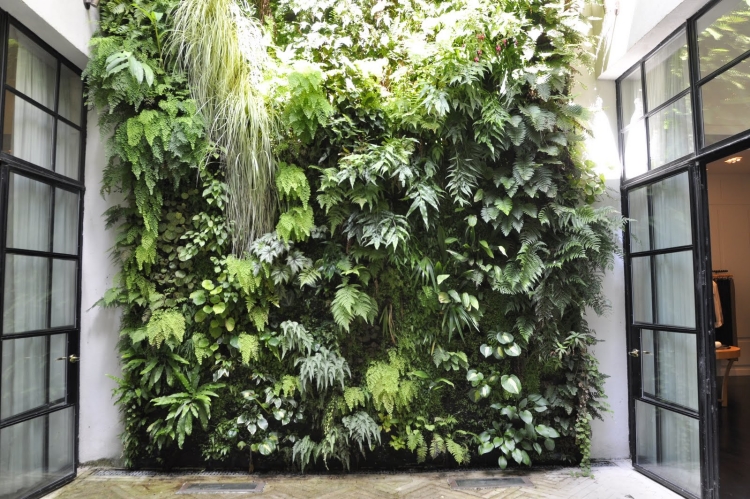 mur végétal extérieur design unique