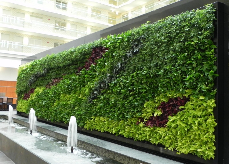 mur végétal extérieur fontaines contemporaines