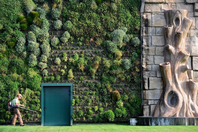 mur-végétal-extérieur-nombreuses-espèces-plantes-Milan