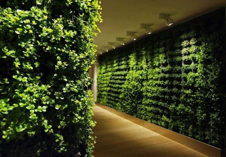 mur végétal intérieur éclairage lumière artificielle