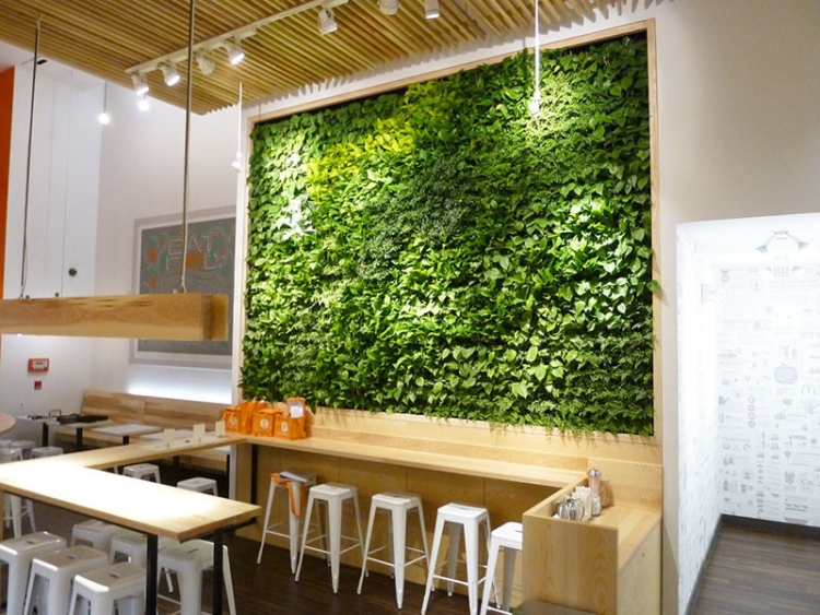 mur-végétal-intérieur-Organic-Avenue-New-York