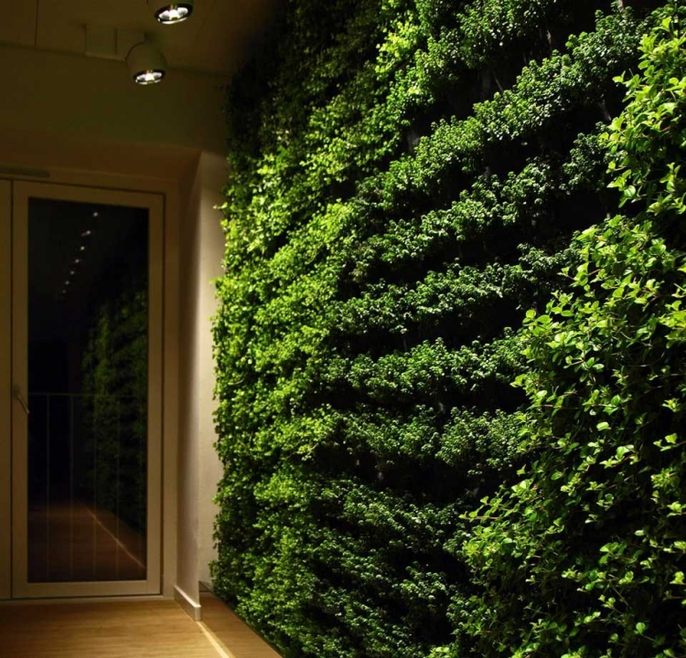 mur-végétal-intérieur-maison-contemporaine