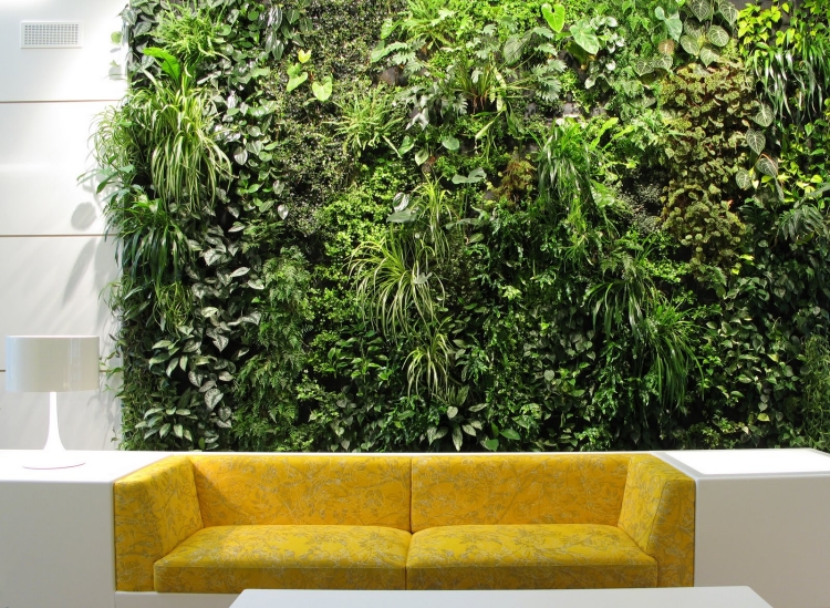 mur-végétal-intérieur-plantes-canapé-jaune