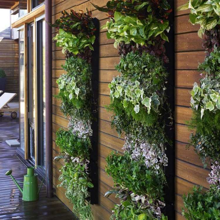 mur végétal extérieur jardin vertical façade