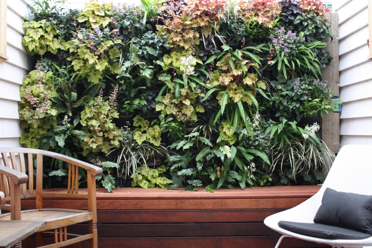 mur-végétal-plusieures-plantes-terrasse-bois