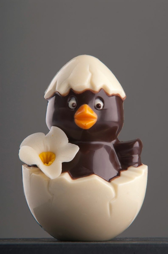 oeufs-de-Pâques-poussins-chocolat-fleur