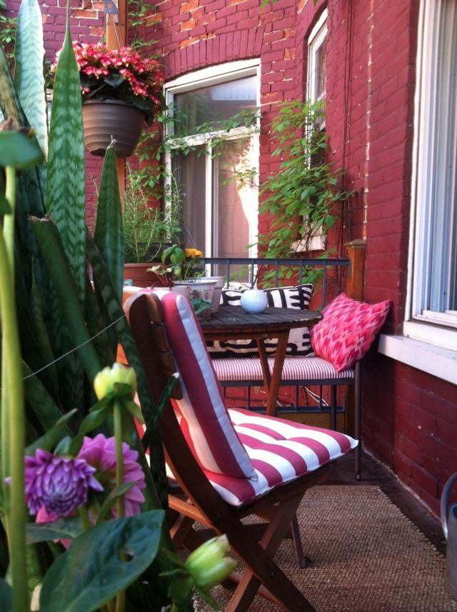 plantes pour balcon sansevières-dahlias-petit-balcon