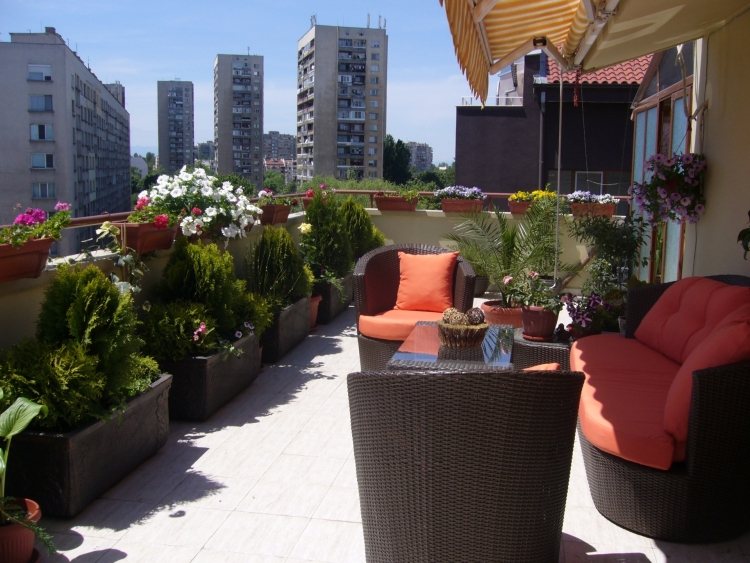 plantes-balcon-vertes-jardinières-pétunias-mobilier-rotin