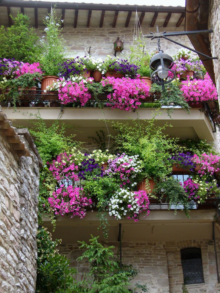 plantes-fleurs-retombantes-décorer-balustrade-balcon