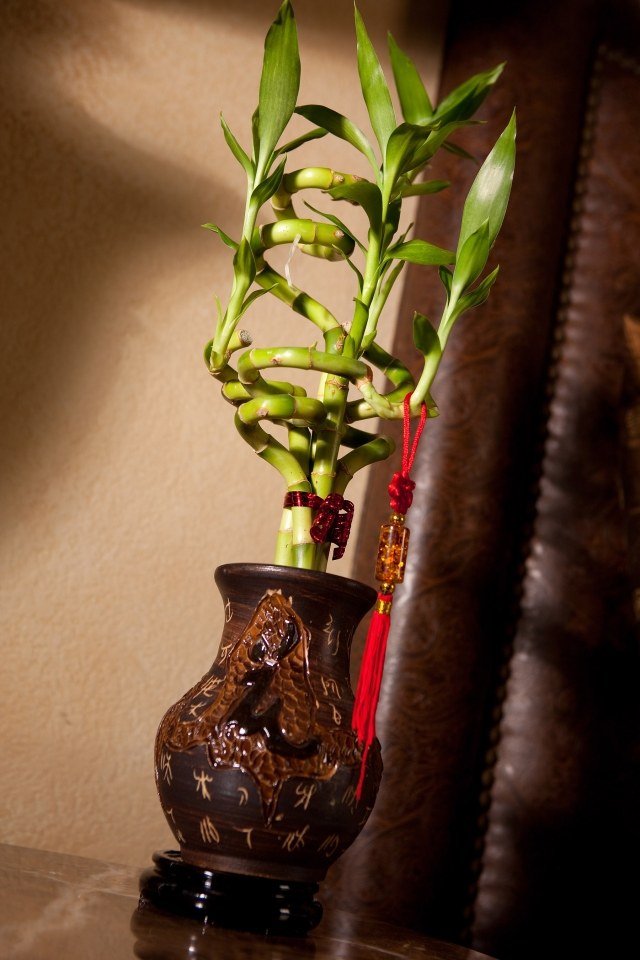 tiges-bambou-vase-céramique-décoré-pompon-chinois
