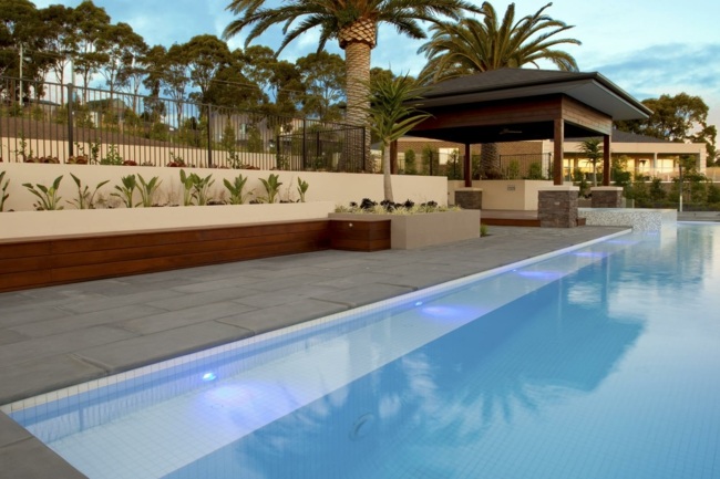 aménagement-jardin-terrasse-piscine-rectangulaire-palmiers
