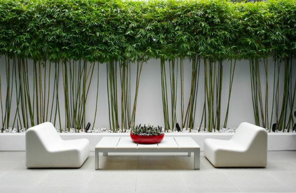 amenagement-jardin-moderne-bambou-salon-jardin-blanc