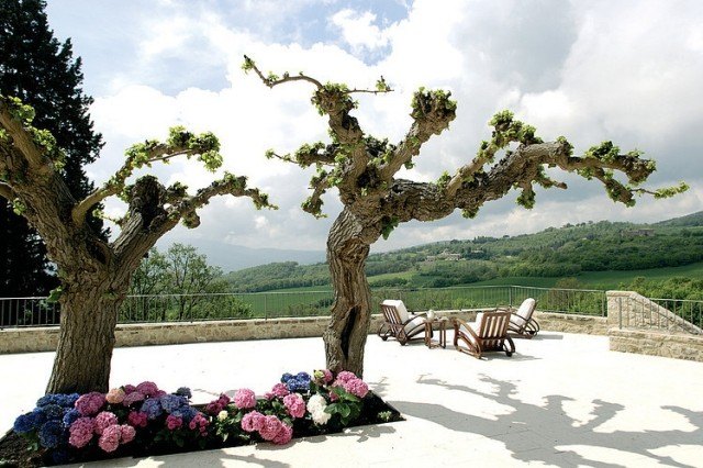 amenagement-terrasse-idée-originale-arbre-coin-detente