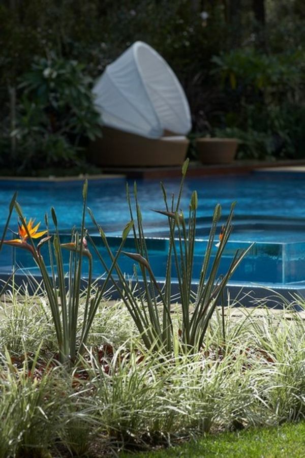 aménagement terrasse piscine-mur-verre