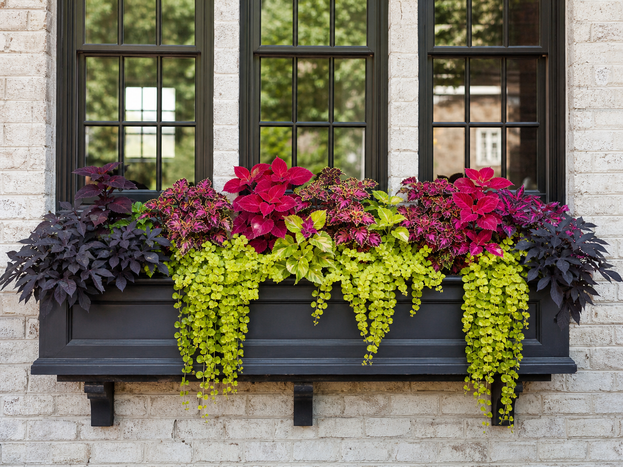 bacs-fleurs-gris-foncé-plantes-vertes 