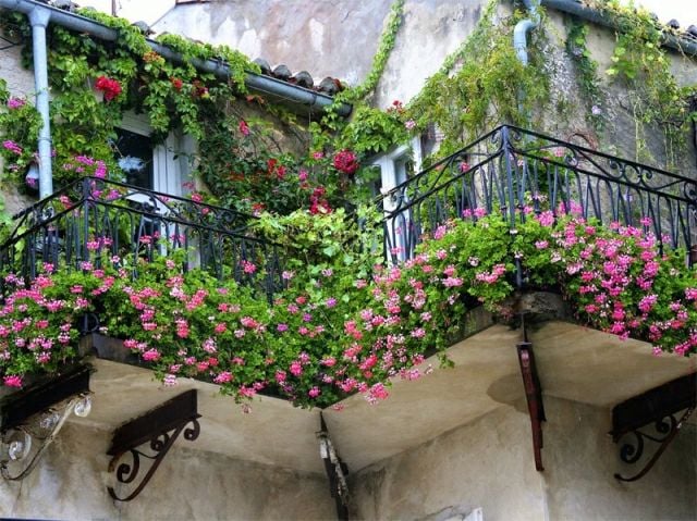 balcon-fleuri-brise-vue-naturel-plantes-fleurs