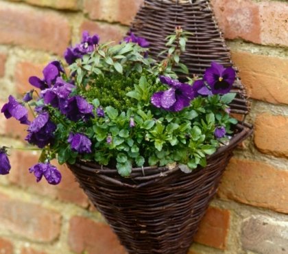 brico-jardin-pot-fleurs-branchettes-tressées-pensées