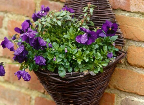brico-jardin-pot-fleurs-branchettes-tressées-pensées