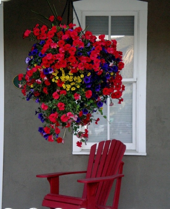 brico-jardin-pot-fleurs-pétunias-rouges-bleues