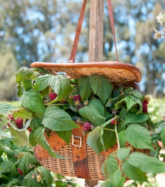 brico-jardin-pot-fleurs-sac-main-recyclé-framboises