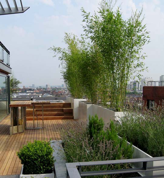 brise-vue-balcon-bambou-plantes-jardinières brise-vue balcon