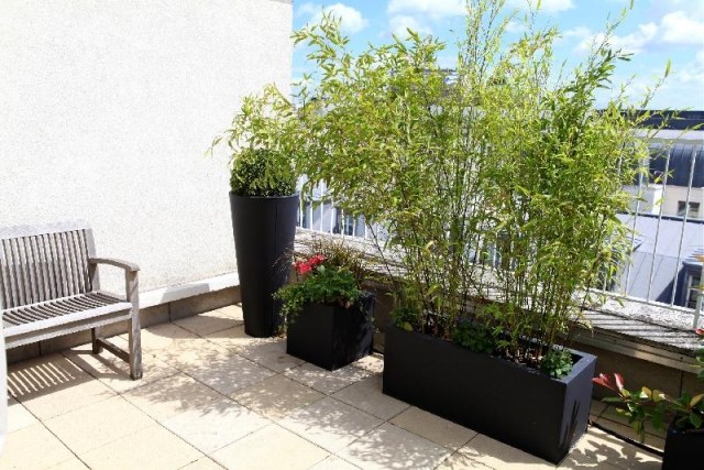 brise-vue-balcon-bambou-plantes-pot-rectangulaire