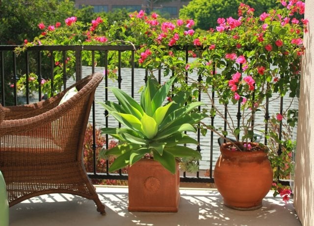 brise-vue-balcon-plantes-fleuries-fauteuils