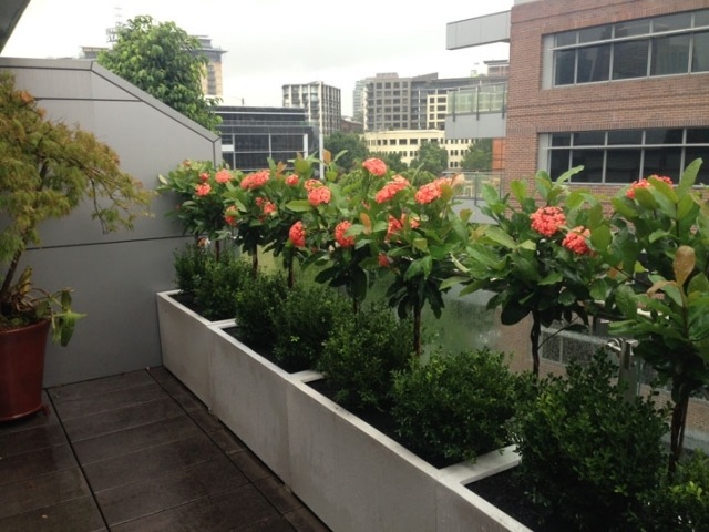 brise-vue balcon pot-fleurs-rectangulaire-beton
