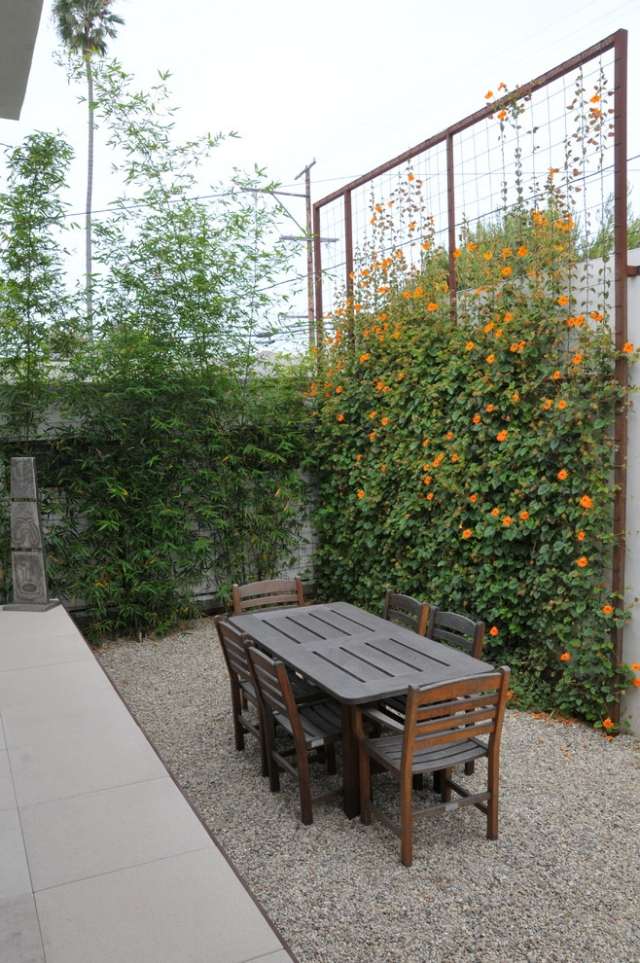 brise-vue-jardin-mur-végétal-fleurs-grimpantes brise-vue jardin