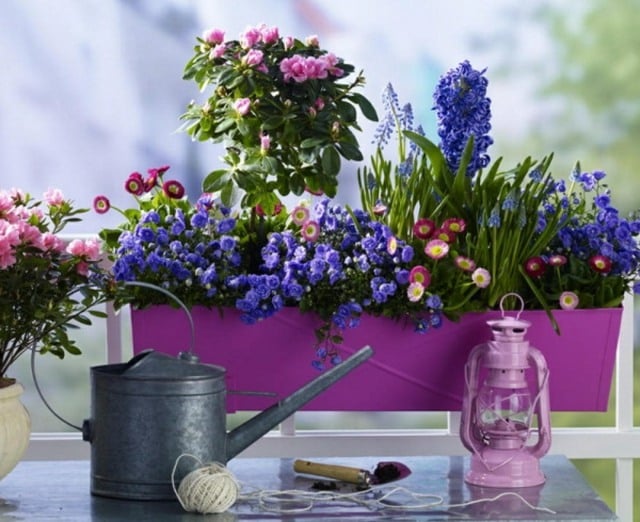 brise-vue naturel jardinière-fleurs-couleurs-fraîches