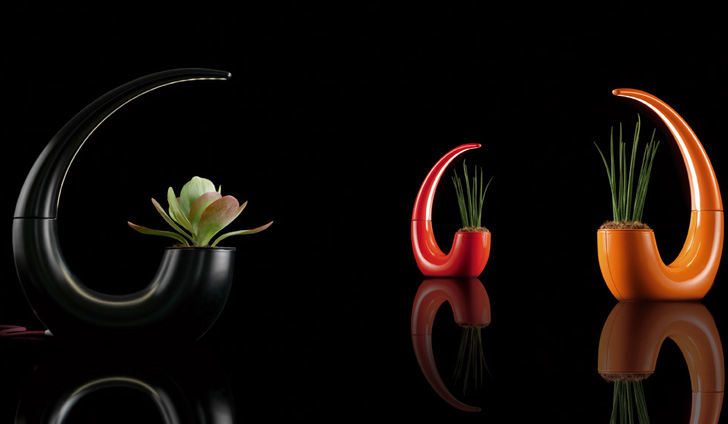 cache-pots design noir rouge orange-Tania-da-Cruz