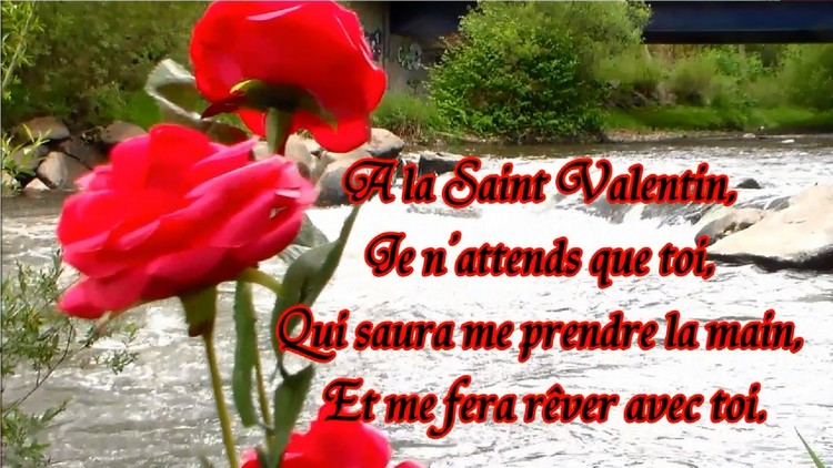 citations St-Valentin -sentiments-amour-reves