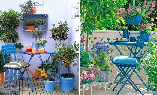 décorer son balcon plantes-exotiques-agrumes-pots