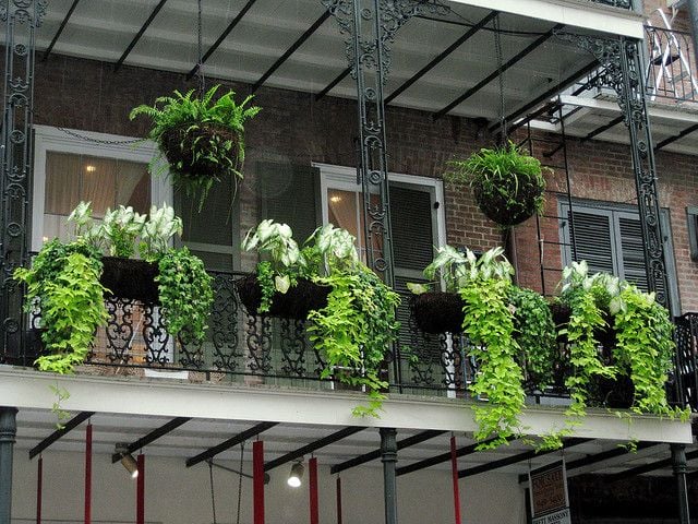 déco-balcon-plantes-vertes-retombantes-pots-balconnières