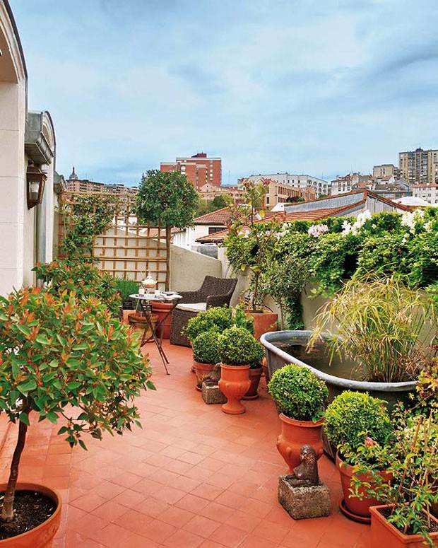 deco-balcon-plantes-arbustes-bas-décoratifs