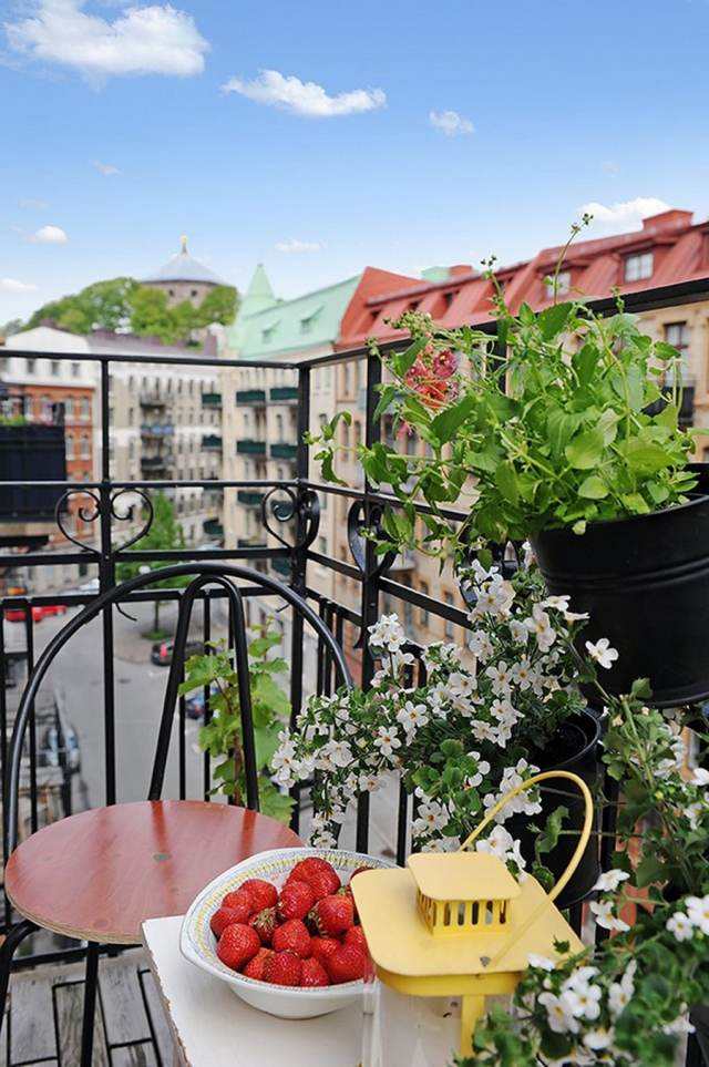 Enjoliver l'extérieur 28 idées de déco balcon avec plantes Balcon Petit inspiration