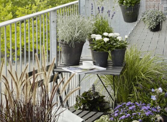 deco-balcon-plantes-jardin-vertical-fleurs-herbes