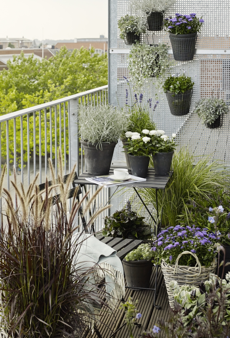 deco-balcon-plantes-jardin-vertical-fleurs-herbes déco balcon