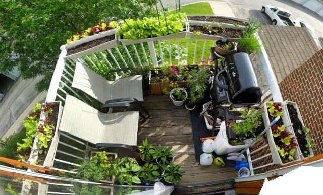 Enjoliver l'extérieur 28 idées de déco balcon avec plantes Balcon Petit inspiration