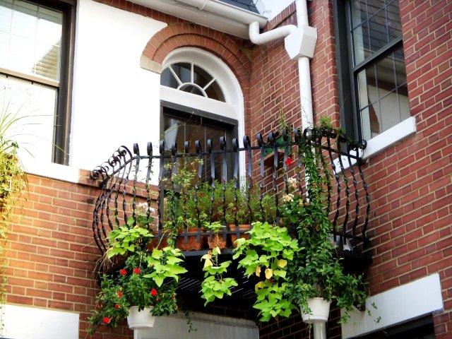deco-balcon-plantes-retombantes-fleurs-pots-suspendus déco balcon