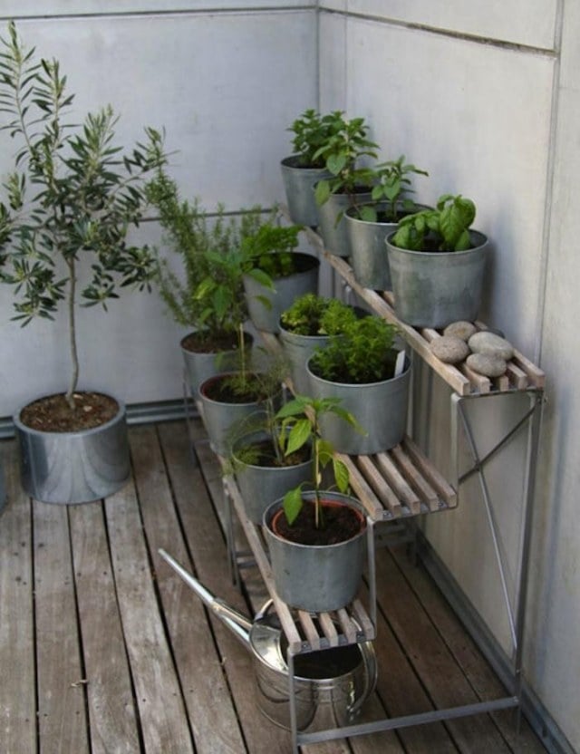 deco-balcon-plantes-vertes-pots-métalliques déco balcon